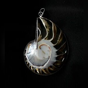Nautilus Shell Pendant
